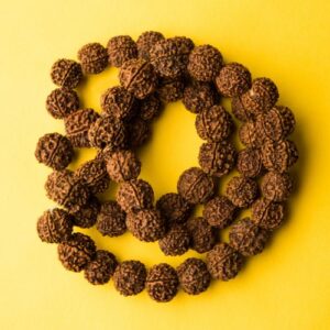 Rudraksha Collection