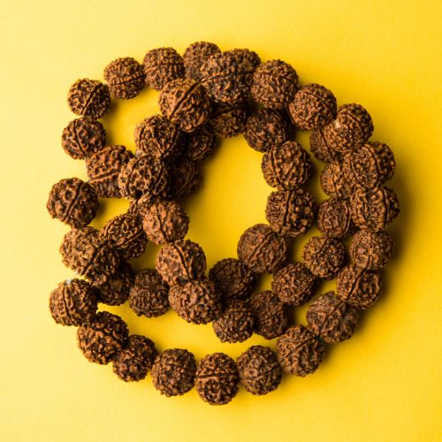 Rudraksha Collection